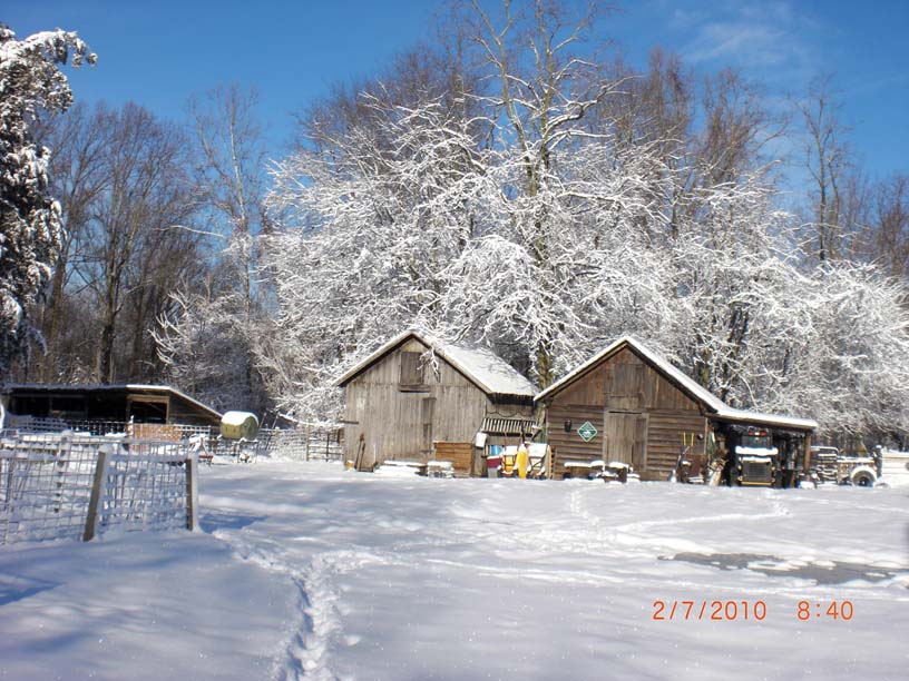 Feed Barn and Shop